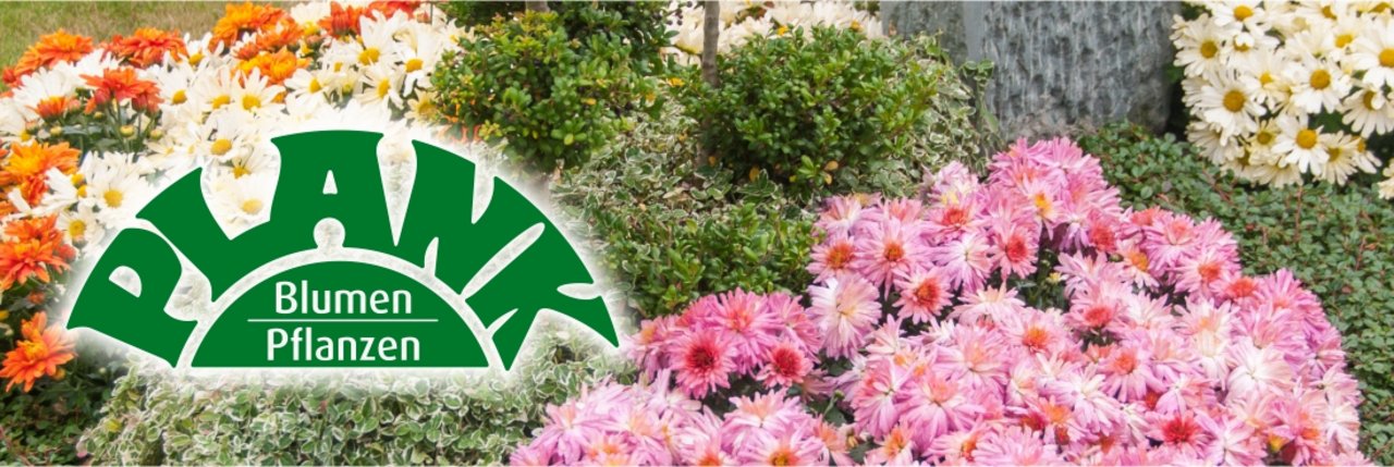 Grabbepflanzung und Dauergrabpflege vom Blumen Plank